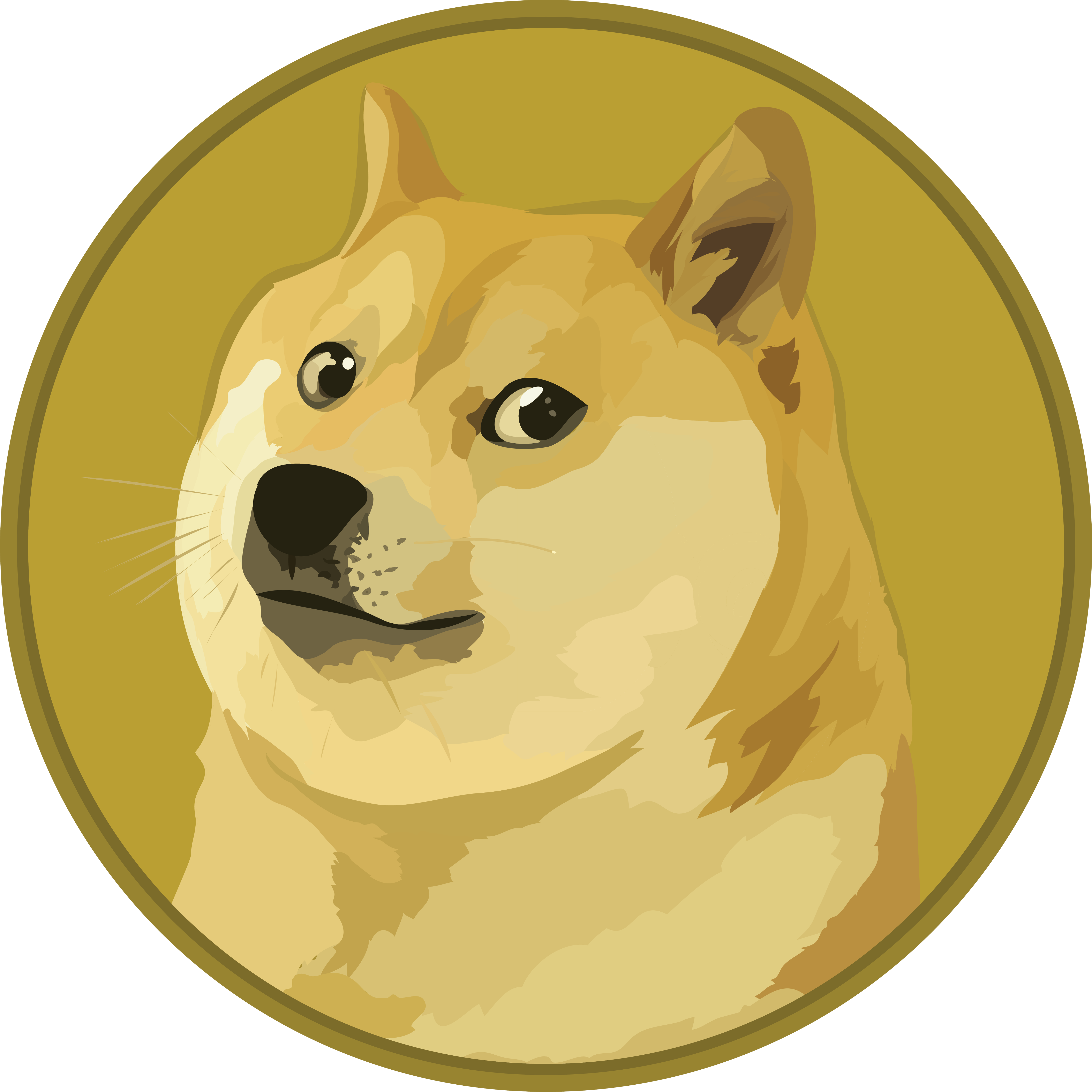 DOGE